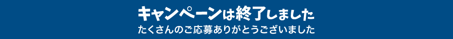 キャンペーンは終了しました