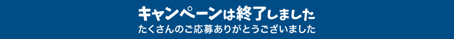 キャンペーンは終了しました